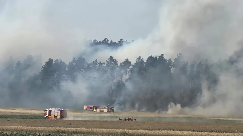 Dicke Rauchwolken aus Wald und Feuerwehrfahrzeuge